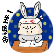 cutey rabbit boy