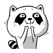 BonBon Raccoon life