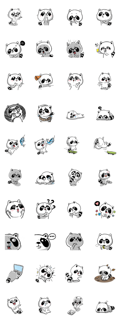 BonBon Raccoon life
