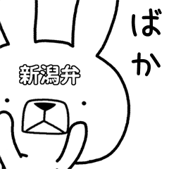 Dialect rabbit [niigata]