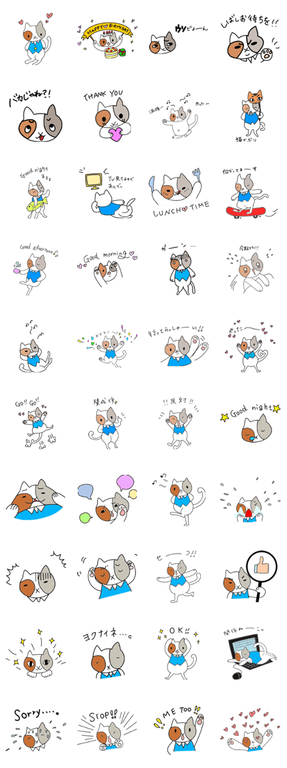 Jack the cat