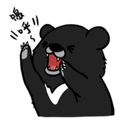 Formosan Moon Bear