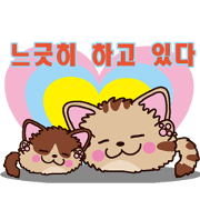Round cat Fan&Moo Korean version