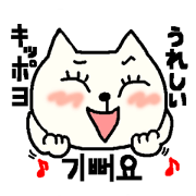 Cat to challenge the Korean part2