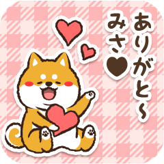 Pocha Shiba Misa (Love)
