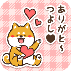 Pocha Shiba Tsuyoshi (Love)
