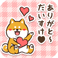 Pocha Shiba Daisuke (Love)