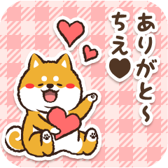 Pocha Shiba Chie (Love)
