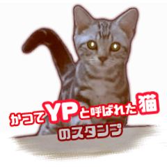 Radiant Dueling Cat`s Sticker