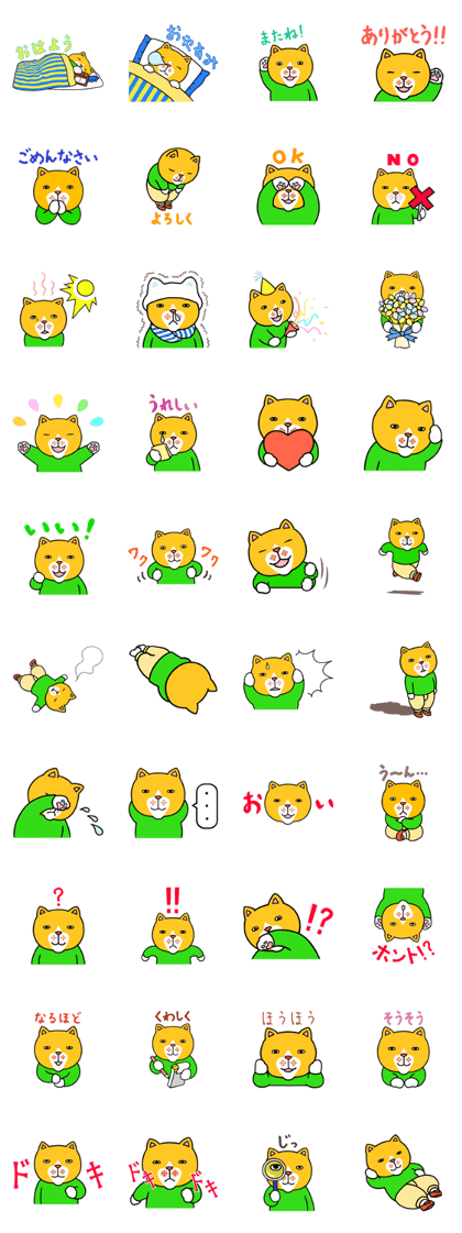 A certain cat's daily life