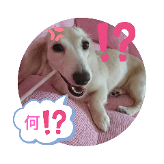 Hikari_20200622141206