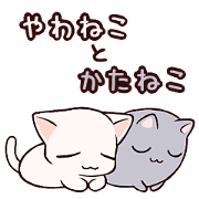 Soft cat&Hard cat
