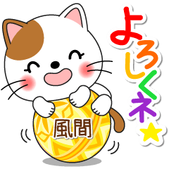 Miss Nyanko for KAZAMA only [ver.1]