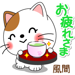 Miss Nyanko for KAZAMA only [ver.2]