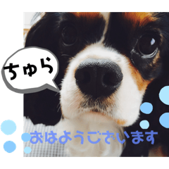 ayumi_20200622122755