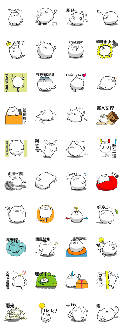 The white Chubby Cat