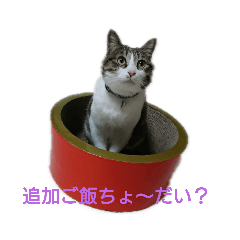 yuto_20200622142530