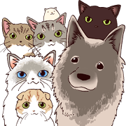 Pretty pet2