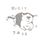 Bucco
