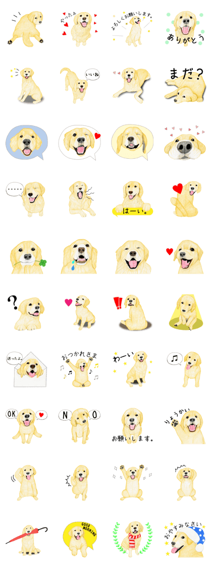 Golden Retriever Sticker (Japanese)
