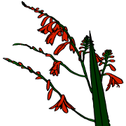 Japanese Flower Greeting