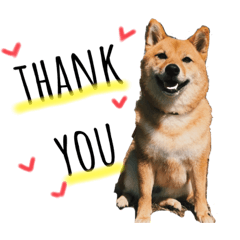 ARISA_20200622140913