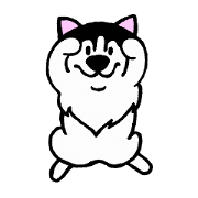 Lukewarm! Husky dog