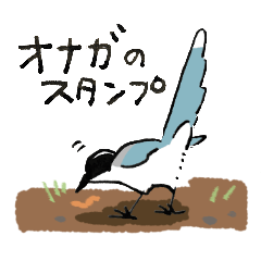日本の野鳥 オナガ