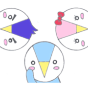 Pecho of penguin