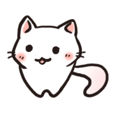 Cute white cat is Nyanko