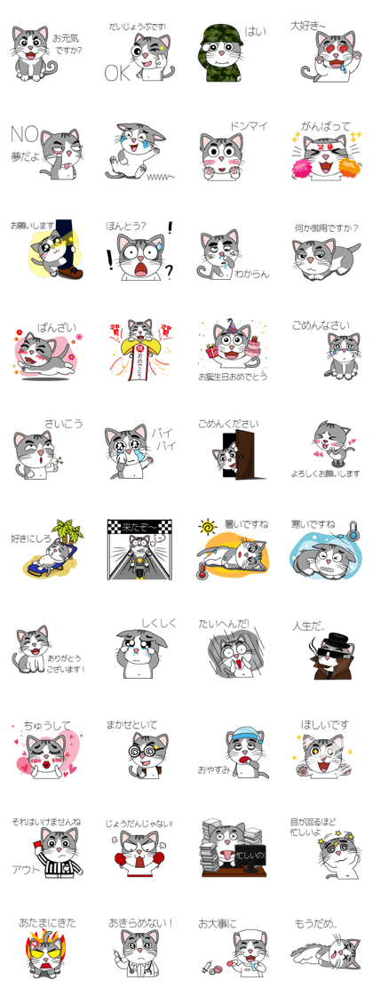 Super cute cat