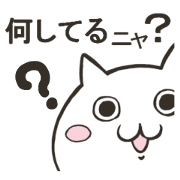 Question form Cats