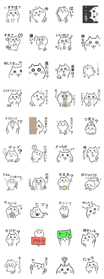 Question form Cats