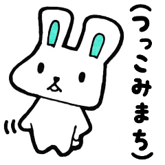 Kansai  rabbit