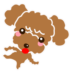 A Happy New Year! Poodle.