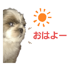 mizuki_20200622171542