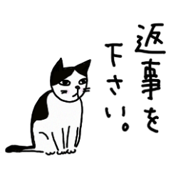 Japanease carefree cats