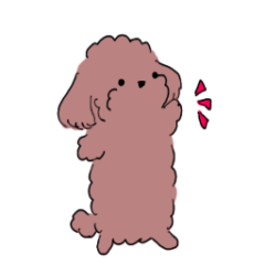 Pompompom 3poodles