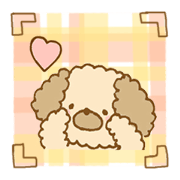 Fluffy toy poodle of sticker