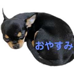 Suzu_20200622181742