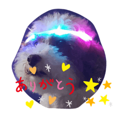 cocoa_20200622194320