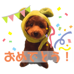Hana_20200622202654