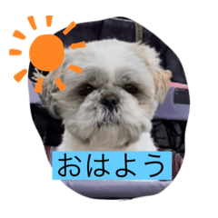 cocoa_20200622205105