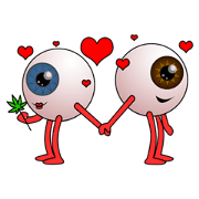 Ivan and Iris, Nothing Overlooked