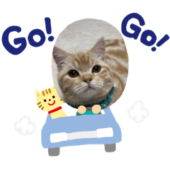 Kazue_38