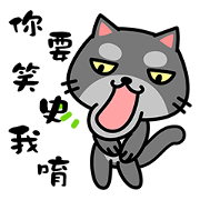 Small black cat Tin-Tin