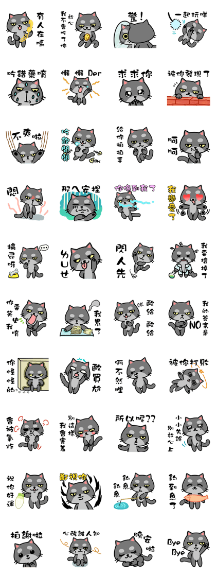 Small black cat Tin-Tin