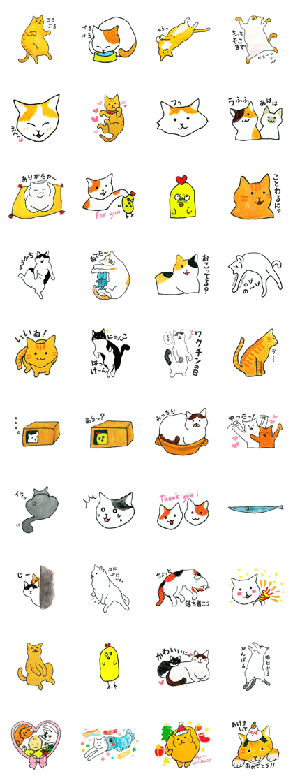 FelicityCats