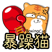 Boxing Cat
