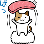 Sushi Sushi cat